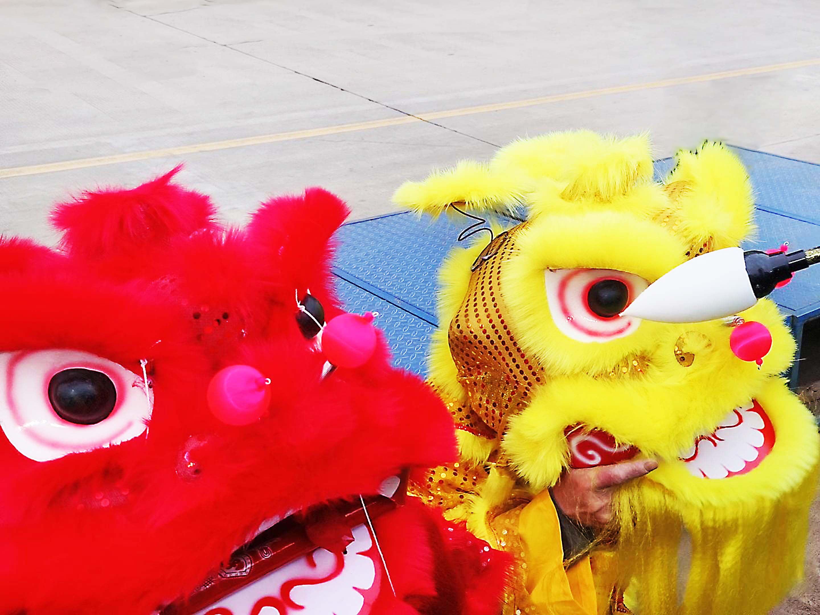 1738992689964904MOjS.jpg 1111.jpg