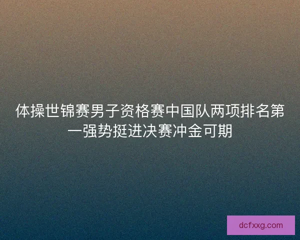 体操世锦赛男子资格赛中国队两项排名第一强势挺进决赛冲金可期 体操世锦赛男子资格赛中国队两项排名第一强势挺进决赛冲金可期