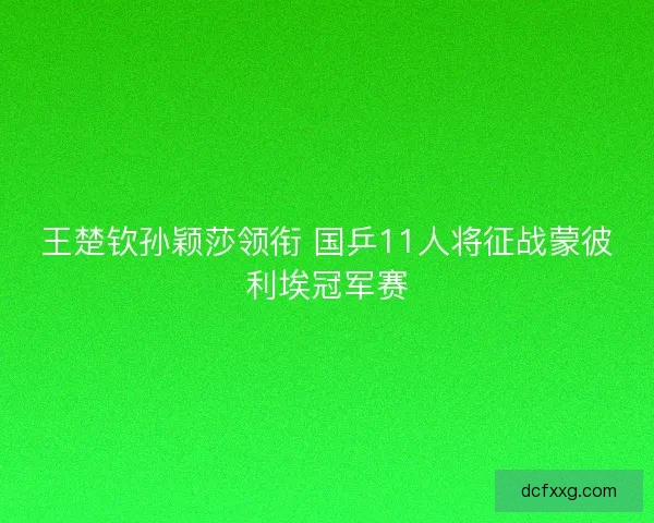 王楚钦孙颖莎领衔 国乒11人将征战蒙彼利埃冠军赛